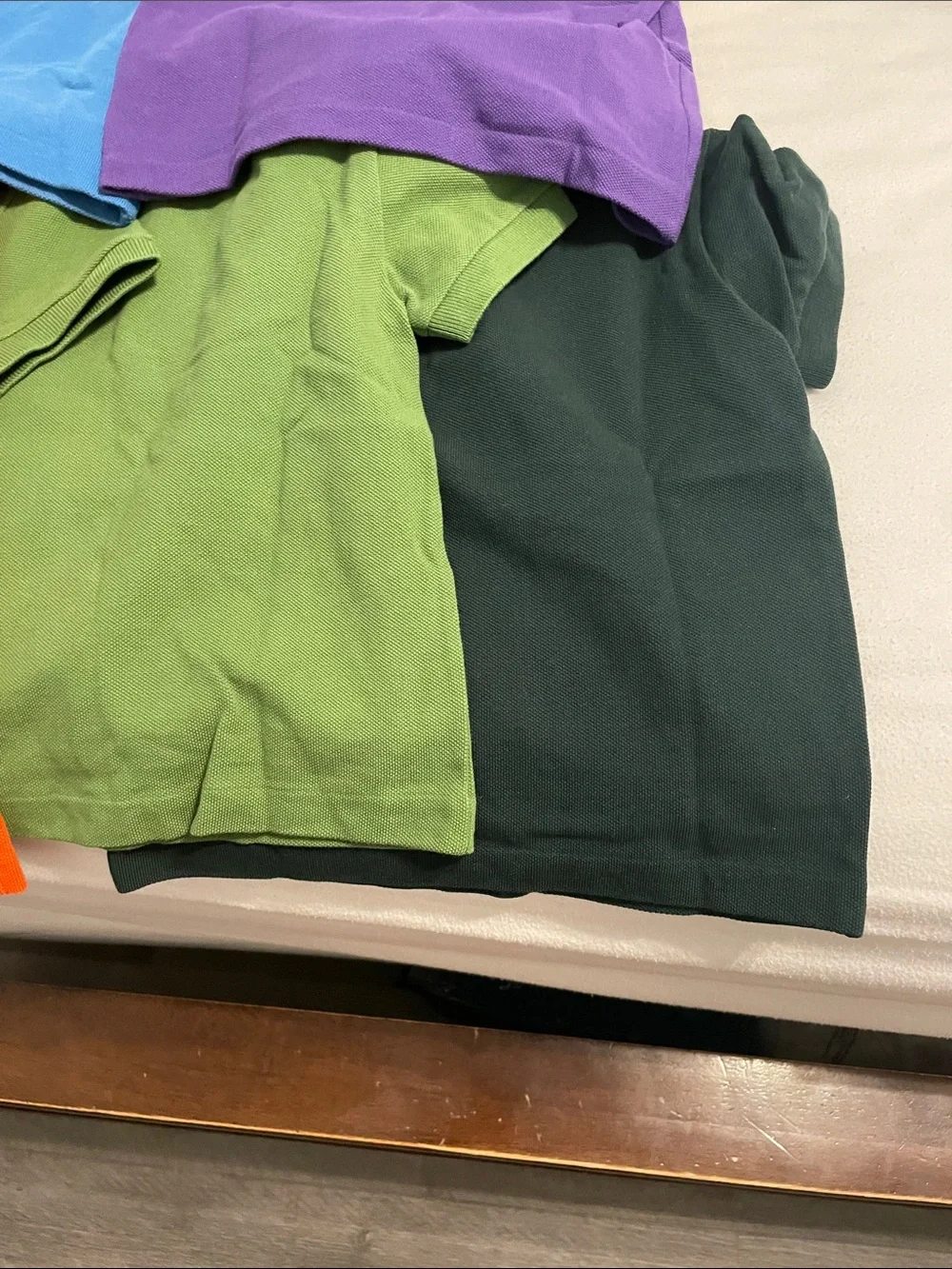 Lacoste logo solid collar